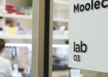 El mundo cambió: Bioceres se incorpora a la carrera global para crear tecnologías que permitan elaborar sustitutos cárnicos accesibles