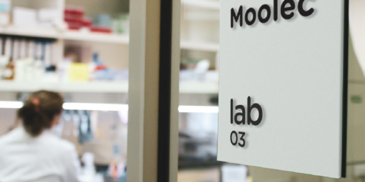 El mundo cambió: Bioceres se incorpora a la carrera global para crear tecnologías que permitan elaborar sustitutos cárnicos accesibles