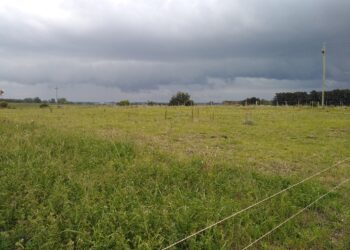 Esta semana regresan las precipitaciones abundantes sobre buena parte de las regiones productivas