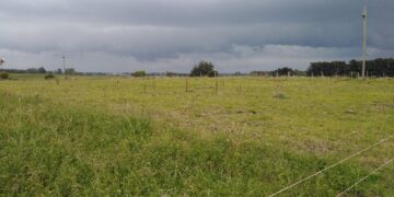 Esta semana regresan las precipitaciones abundantes sobre buena parte de las regiones productivas