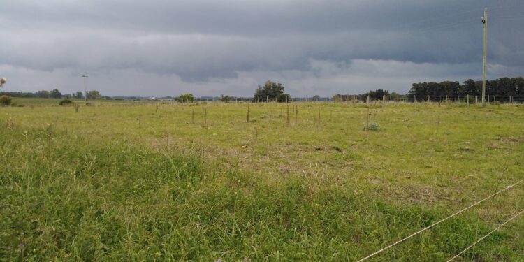 Esta semana regresan las precipitaciones abundantes sobre buena parte de las regiones productivas