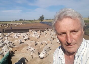 Una historia solidaria: Productores ovinos cordobeses y patagónicos se ayudaron mutuamente para hacer frente a desastres climáticos