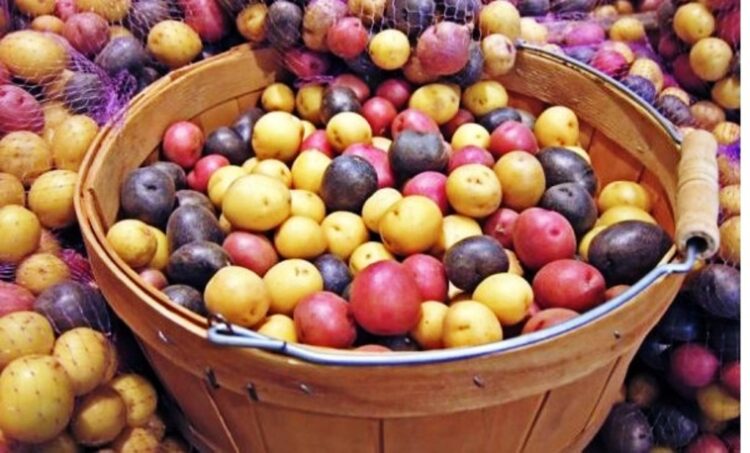 Néstor Vilca, en la Quebrada de Humahuaca, pudo recuperar muchas de las producciones andinas realizadas por sus ancestros