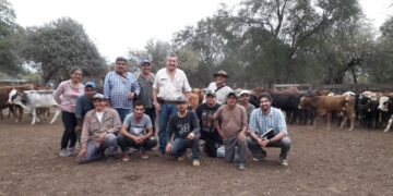 Santa Fe: Lanzan programa con subsidios de hasta 1,30 millones de pesos para microempresas ganaderas