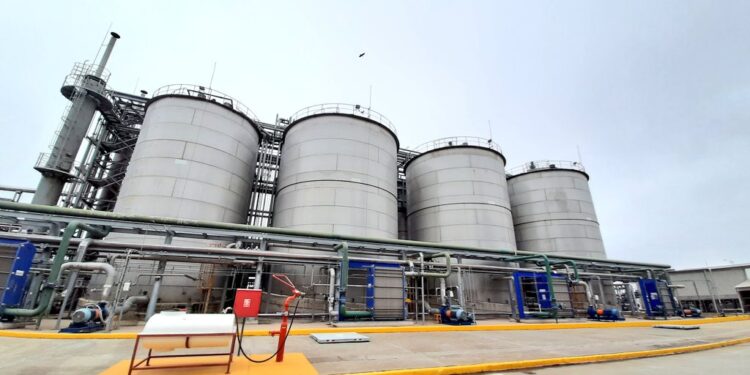 ¿Por qué el gobierno argentino quiere desarmar el programa de promoción de biocombustibles?