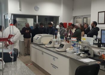 El sector privado de Córdoba, Santa Fe y Entre Ríos advierte que la desintegración del programa de biocombustibles generará una “pérdida de miles de puestos de trabajo”