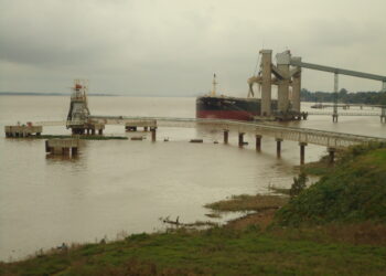 En febrero los derechos de exportación generaron un 11,4% de la recaudación impositiva: Casi el doble que un año atrás