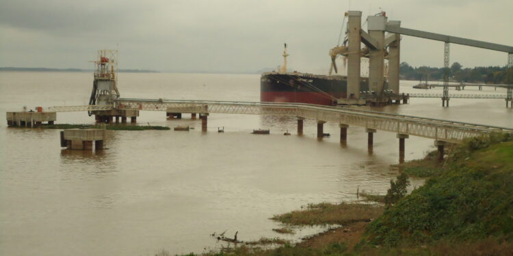 En febrero los derechos de exportación generaron un 11,4% de la recaudación impositiva: Casi el doble que un año atrás