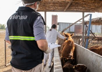 El Senasa volvió a prorrogar el plazo para el reempadronamiento obligatorio de los entes sanitarios