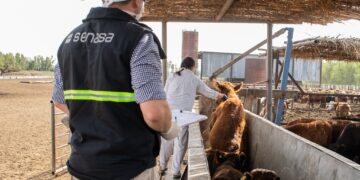 El Senasa volvió a prorrogar el plazo para el reempadronamiento obligatorio de los entes sanitarios