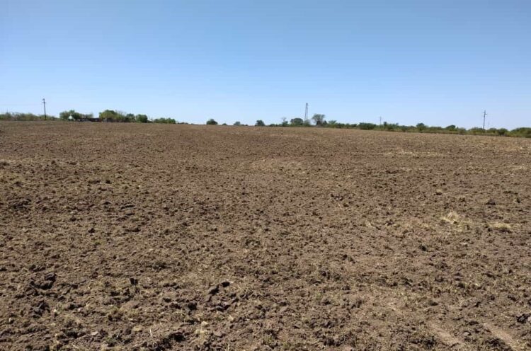 Los primeros pedidos de socorro por la sequía llegan desde Entre Ríos: Los que sembraron apenas cubrirían los costos