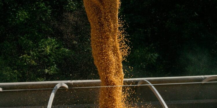 Derribando mitos: los productores argentinos vendieron más soja que en la campaña pasada