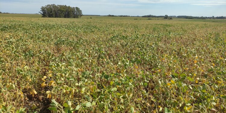 Finalmente llegan las lluvias generalizadas (aunque para algunos ya será tarde)