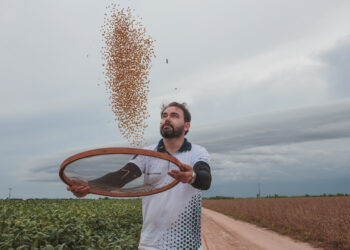 Gracias a la soja podemos aumentarnos el sueldo como país ¿Lo estamos haciendo?