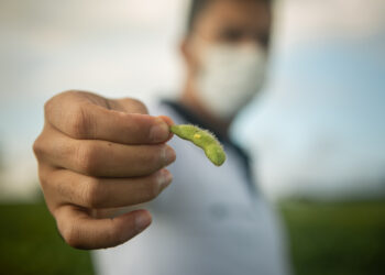 Brasil Potencia Agrícola: en 2020/21 tendrá una cosecha récord histórica de 272 millones de toneladas
