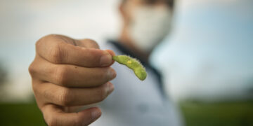 Brasil Potencia Agrícola: en 2020/21 tendrá una cosecha récord histórica de 272 millones de toneladas
