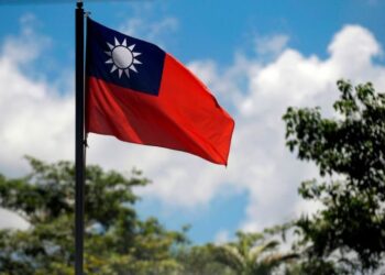 Se caen los precios de los granos ¿Qué hay detrás de la salida de operadores especulativos de los futuros de materias primas?