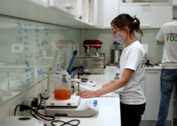 Avanzan en Córdoba y Buenos Aires los dos emprendimientos que buscan posicionar a la Argentina como referente en la producción de proteínas vegetales funcionales