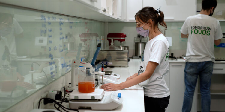 Avanzan en Córdoba y Buenos Aires los dos emprendimientos que buscan posicionar a la Argentina como referente en la producción de proteínas vegetales funcionales