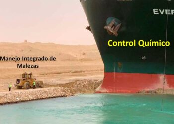 La historia detrás del tweet: el meme del Evergreen para explicar el estado actual del manejo integrado de malezas