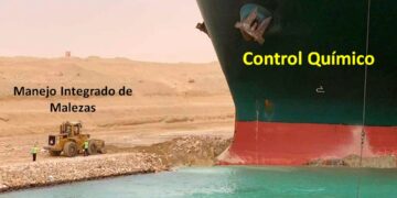 La historia detrás del tweet: el meme del Evergreen para explicar el estado actual del manejo integrado de malezas