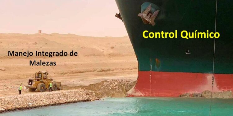 La historia detrás del tweet: el meme del Evergreen para explicar el estado actual del manejo integrado de malezas