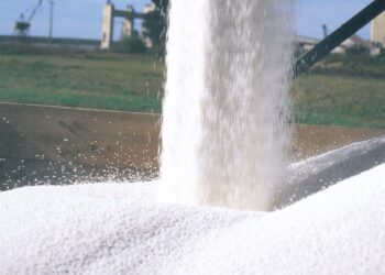 Competitividad: Se derrumbó el poder de compra del trigo justo unas pocas semanas antes del comienzo de la siembra