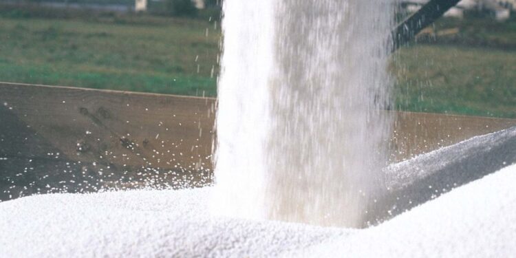 Competitividad: Se derrumbó el poder de compra del trigo justo unas pocas semanas antes del comienzo de la siembra