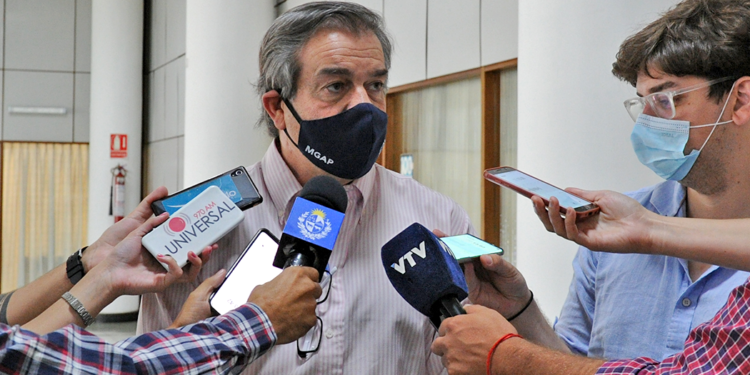 Uruguay dispersará 28 millones de moscas estériles por semana para intentar erradicar al gusano barrenador del ganado