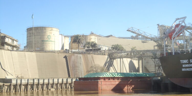 Auditores forenses de Vicentin SAIC tendrán acceso a las miles de transferencias realizadas por los directores de la compañía concursada