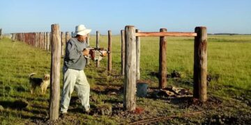 Día nacional del alambrador: “Es un trabajo rústico, artesanal y a pulmón. Te tiene que gustar”, señaló el correntino Juan Salvetti