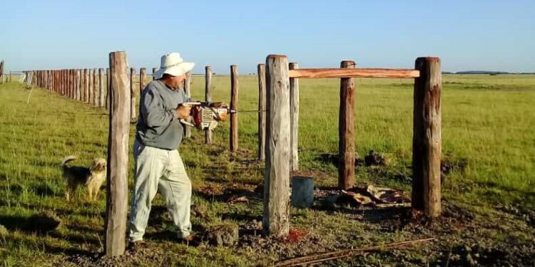 Día nacional del alambrador: “Es un trabajo rústico, artesanal y a pulmón. Te tiene que gustar”, señaló el correntino Juan Salvetti