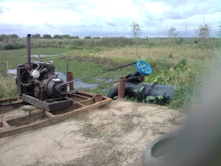 Toda una vida en el Arroyo Martínez, César Pohl goza y sufre el delta entrerriano: “Desde que se despoblaron las islas, ya la poca gente no se visita tanto”