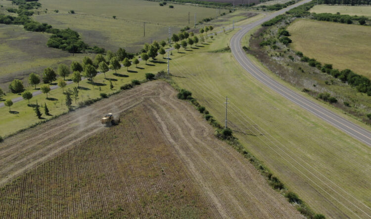 Para sortear una normativa que restringe aplicaciones, la familia Sánchez se animó a producir soja orgánica de exportación