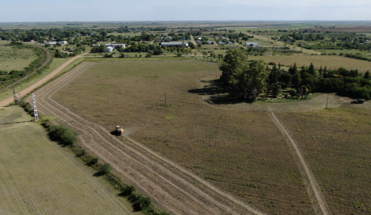 Para sortear una normativa que restringe aplicaciones, la familia Sánchez se animó a producir soja orgánica de exportación