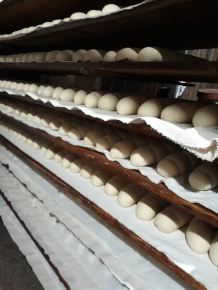 Aromas y secretos de  madrugada en una panadería de horno a leña del partido de Pellegrini