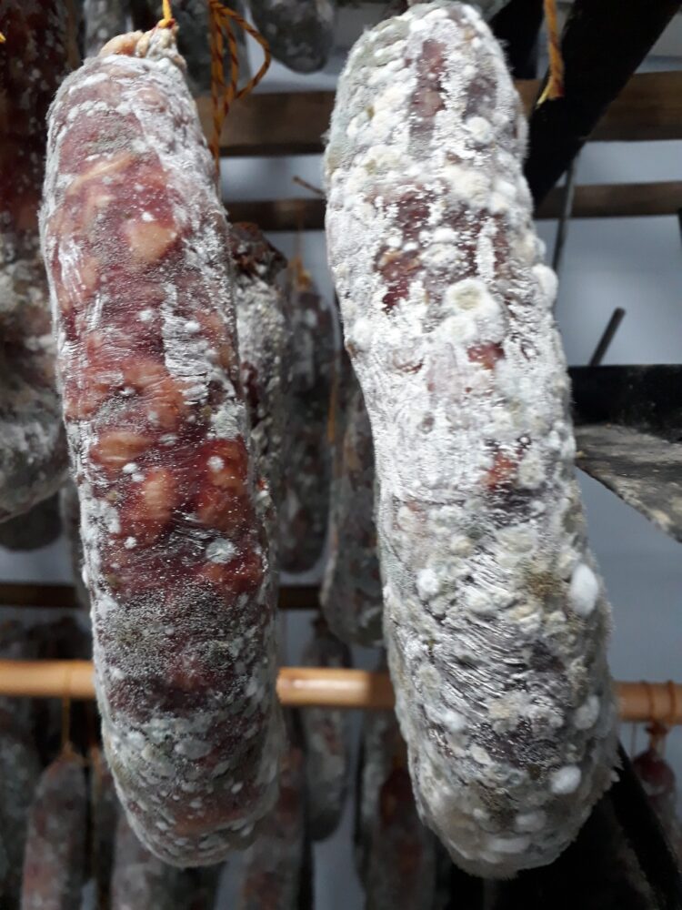 El viejo almacén, la lavanda, los monjes, los Hereford y hasta la máquina de hacer chorizo (seco): En Pablo Acosta, Viviana encontró su modo de vivir el campo