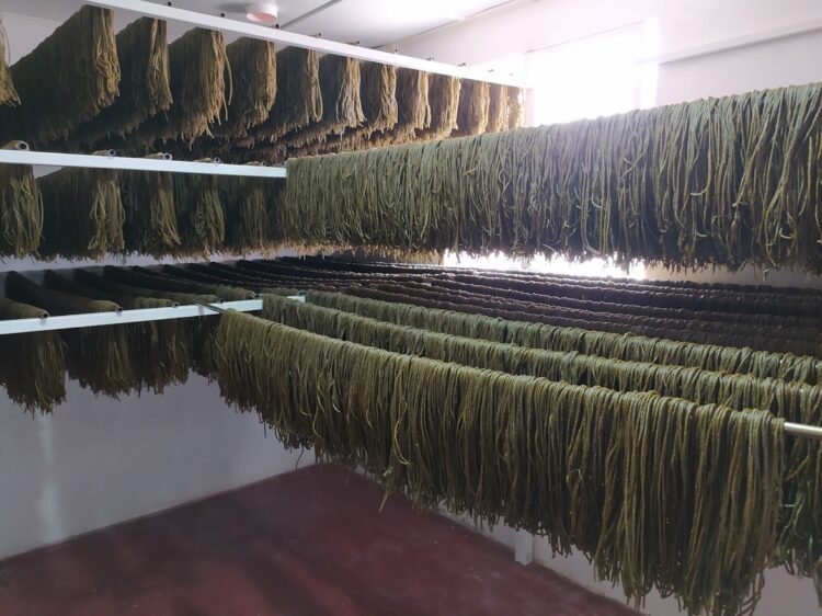 Javier Rodríguez nos cuenta la historia de Cauqueva, la cooperativa que siempre buscó agregar valor a favor de los pequeños productores de la Quebrada de Humahuaca