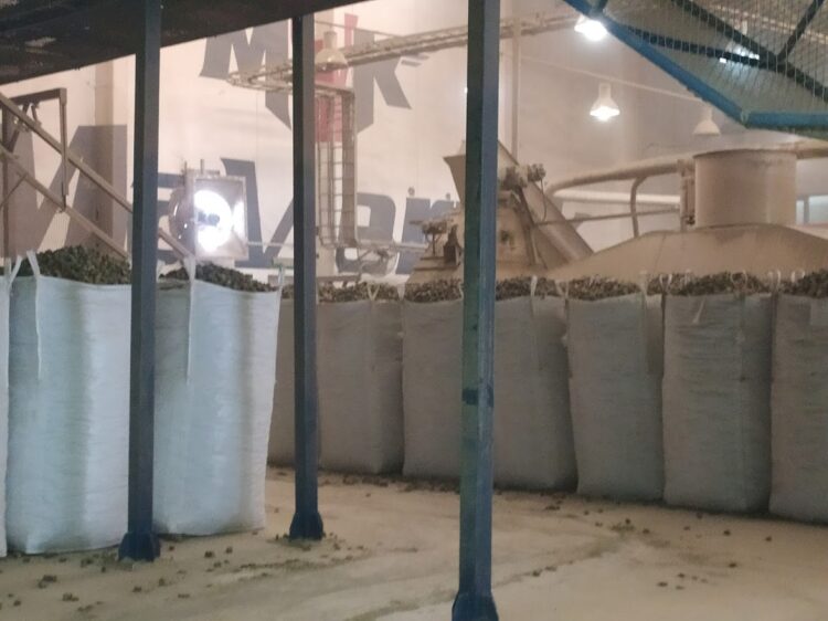 Los chilenos se instalaron en San Juan para producir “caramelos de alfalfa” de exportación para sus caballos
