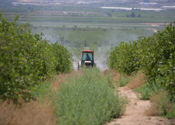 Decisión tomada: la Argentina avanzará en un año hacia la prohibición total del insecticida Clorpirifós
