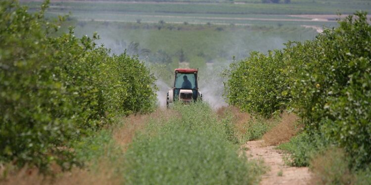 Decisión tomada: la Argentina avanzará en un año hacia la prohibición total del insecticida Clorpirifós