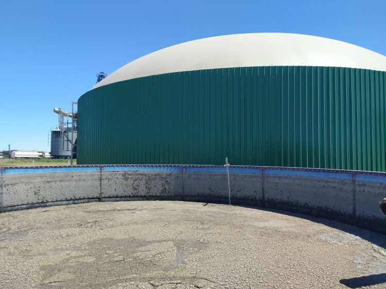 En General Alvear, Antonio Riccillo logró cerrar el círculo ganadero con biodigestores que generan electricidad a partir de los desechos animales