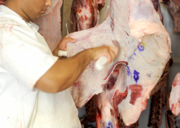 Comenzó a morigerarse el alza de precios de la carne vacuna ante la pérdida de poder adquisitivo de los argentinos
