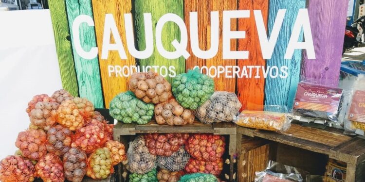 ¿Dónde están los papines andinos? La cooperativa jujeña Cauqueva denuncia que Senasa la dejó afuera del mercado de manera injustificada