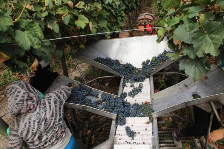 Sebastián Sosa busca tecnologías para la agricultura familiar del Cuyo: Ahora estudiarán cómo funcionan los biofertilizantes