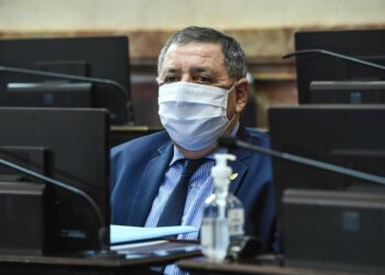 Alfredo de Angeli también quiere ceder tierras fiscales a los pequeños productores, pero a través de un instituto técnico que no haga política