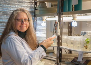 Argentina esquizofrénica: En medio de un evidente freno a los OGM, vuelven a modificar el sistema de evaluaciones para aprobar cultivos transgénicos