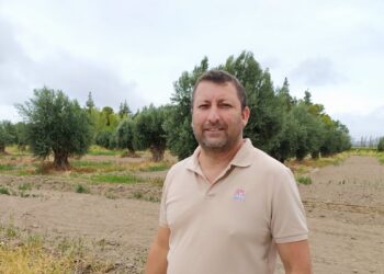 Los ensayos de Édgar Ávila: ¿Será posible reemplazar agroquímicos con ovejas que pasten debajo de parrales y de olivos?