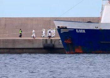 Luego de navegar tres meses por las aguas del Mediterráneo, en España sacrifican 1.600 terneros que fueron rechazados por los países árabes