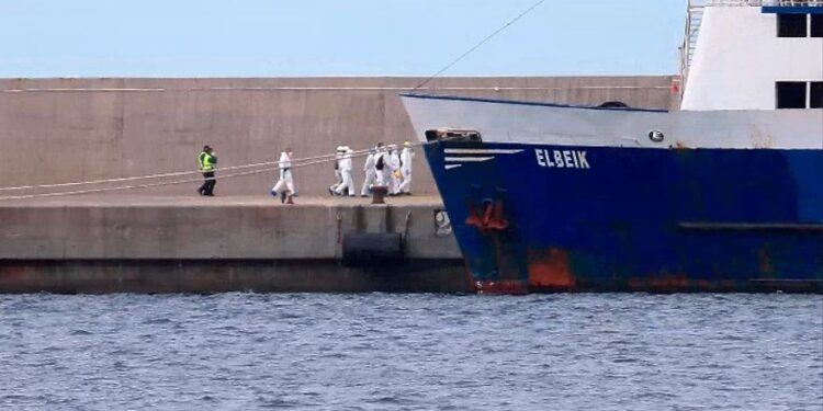 Luego de navegar tres meses por las aguas del Mediterráneo, en España sacrifican 1.600 terneros que fueron rechazados por los países árabes